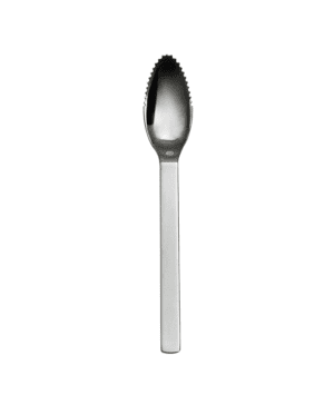 Modulo Citrus Fruits Spoon - Case Qty 12