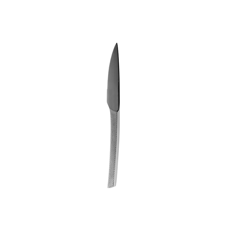 Guest Star Solid Handle steak Knife - Serrated - Case Qty 12