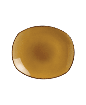 Terramesa Mustard Plate Spice 25.5cm 10  - CASE QTY - 24