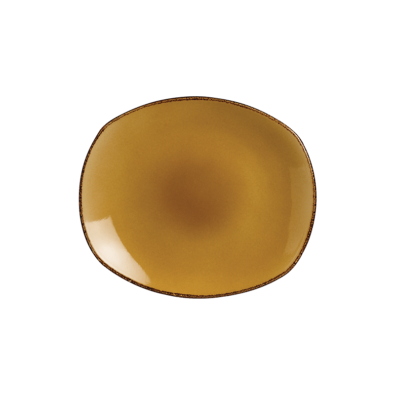 Terramesa Mustard Plate Spice 25.5cm 10  - CASE QTY - 24